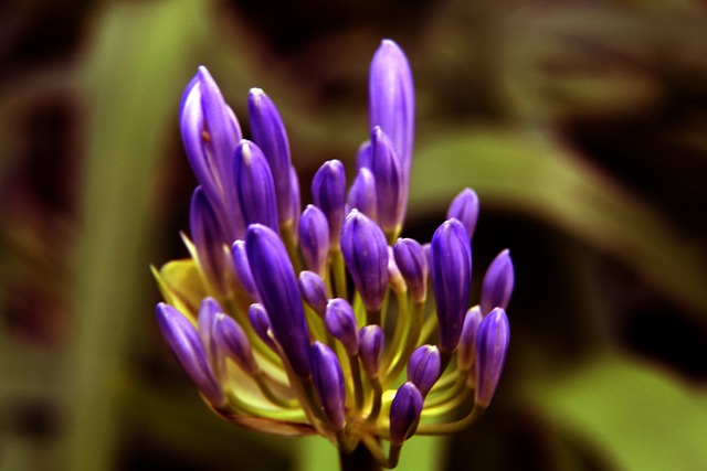 伞具的质量 伞具的质量