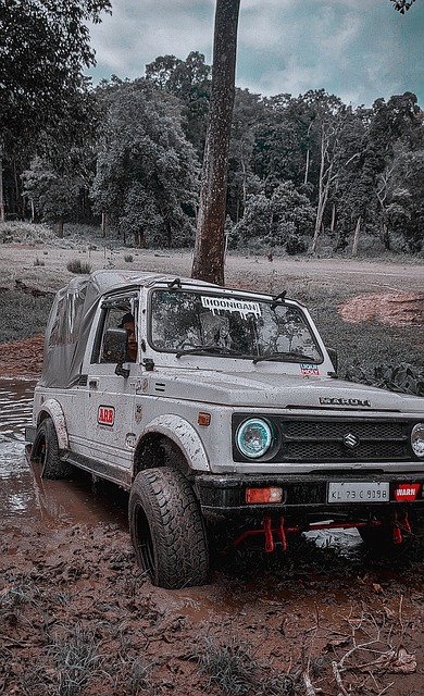 在最近一场 在最近一场