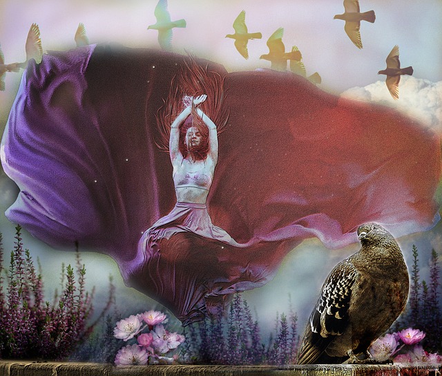 帅的赞誉 帅的赞誉