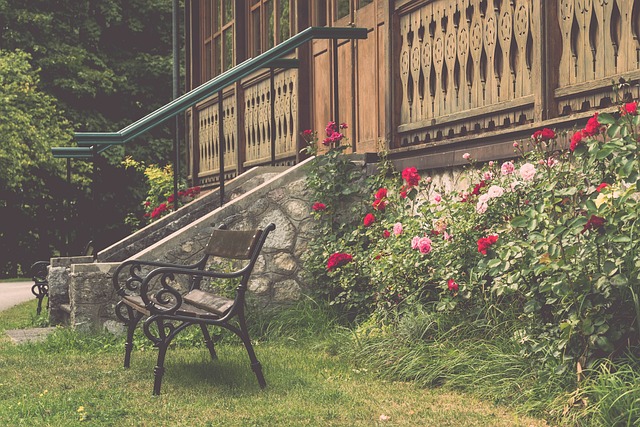 比赛中占据 比赛中占据