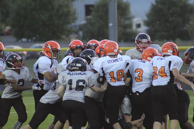 的竞技环境 的竞技环境