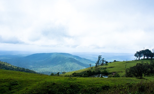 新的办赛方 新的办赛方