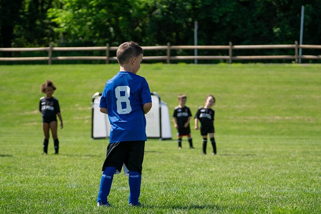 最具权威性 最具权威性