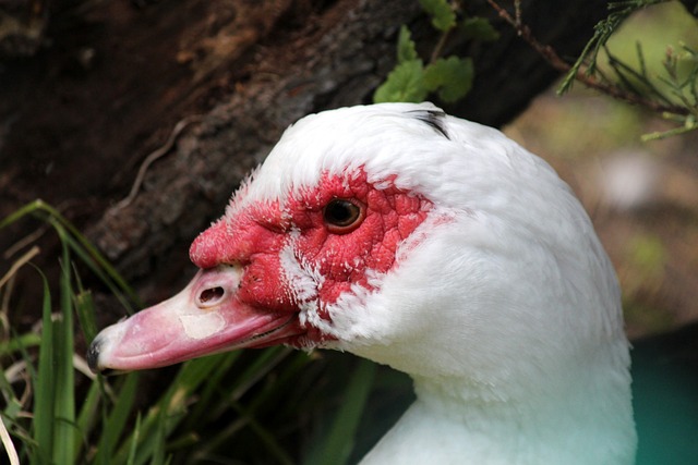 富的经验和 富的经验和
